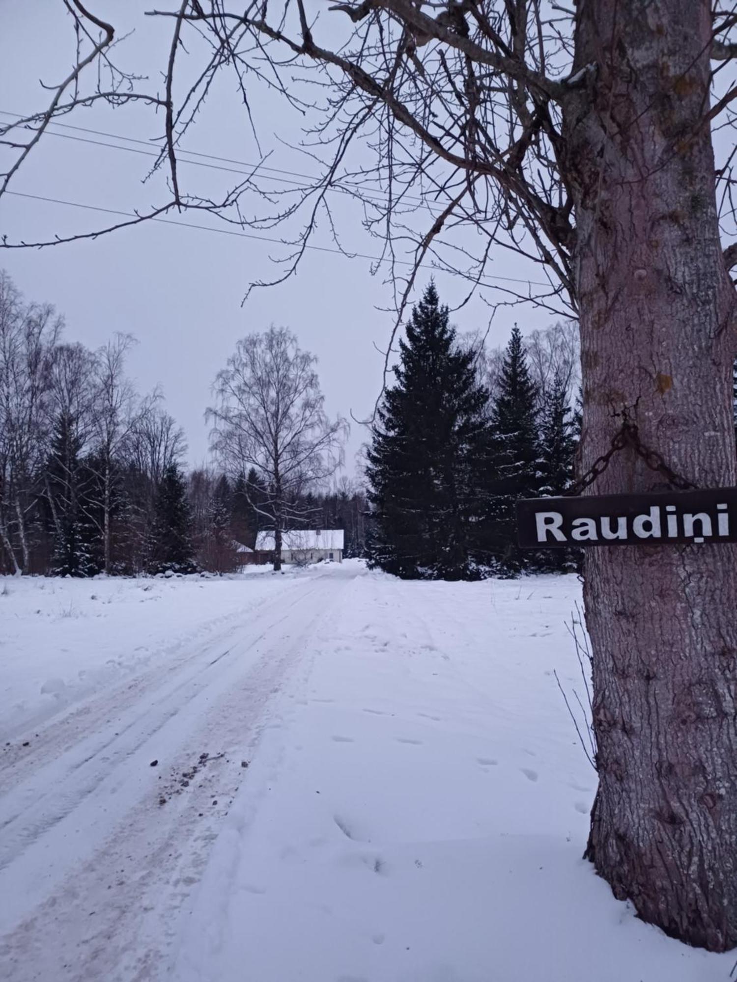 Brivdienu Maja "Raudini" Kaltene エクステリア 写真